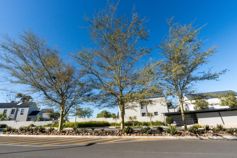 To Let 3 Bedroom Property for Rent in Aan de Wijnlanden Western Cape